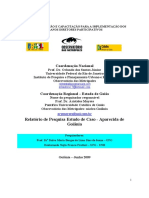 Relatorio Final Aparecida de Goiania