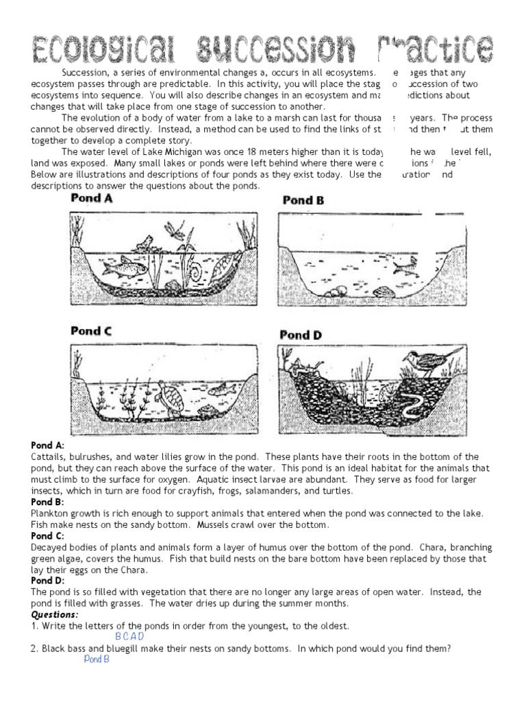 Population Ecology Answer Key Symbiosis Ecological Niche