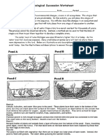 Ecological Succession Worksheet