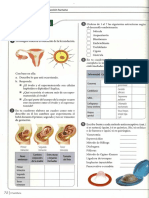 Taller Desarrollo Embrionario PDF