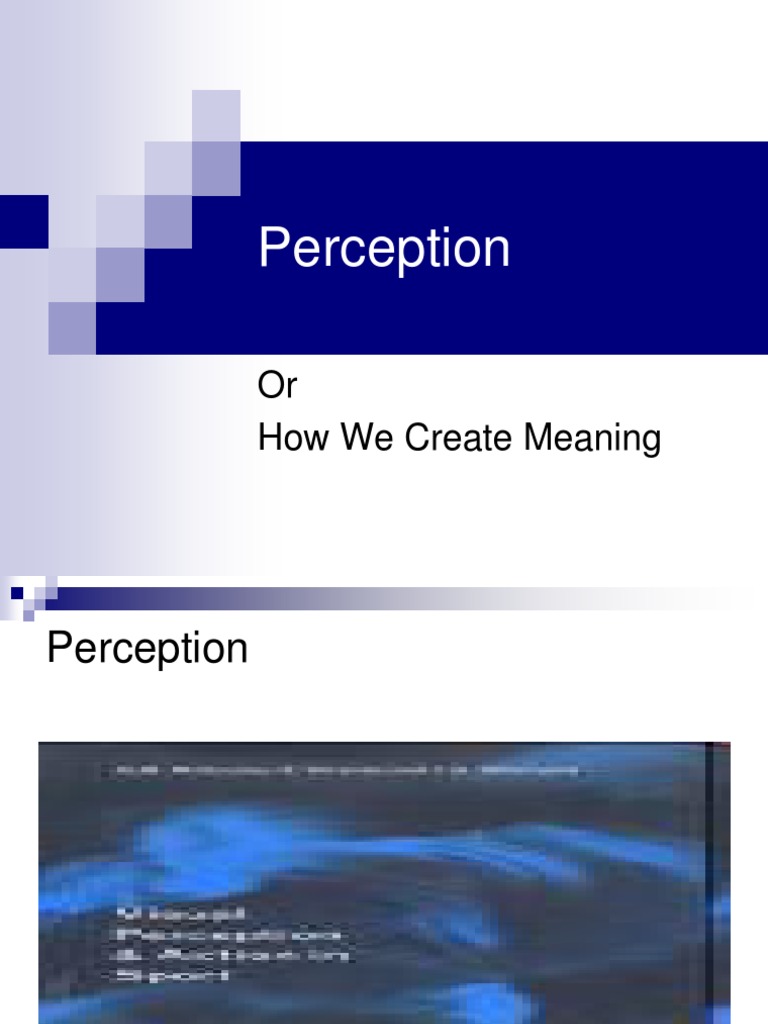 Understanding Perception Processes | PDF