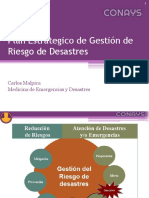 Plan Estrategico de Gestion de Riesgo