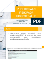 DT - Pemfis Hidrosefalus