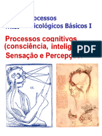 ConsciEncia-InteligEncia-PercepCAo.