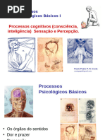 ConsciEncia-InteligEncia-PercepCAo.