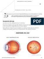 Ojo, Su Anatomía, Su Funcionamiento