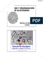 clase12glucogeno2012.pdf
