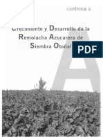 2.crecimiento y Desarrollo de La Remolacha Azucarera