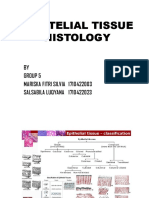 Ephytel Tissue Histology