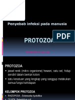 Protozoa OKE