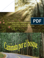 ForestWalk Pps Caminata Por El Bosque