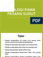 04-Rawa Pasang Surut