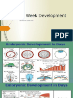 2 Week Development: Bilaminar Germ Disc