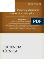 Eficiencia Técnica y Eficiencia Económica-1