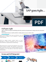 SAP Goes Agile : Research