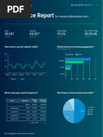 Digital Marketing Insight Report