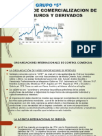 Sistemas de Comercializacion de Hidrocarburos y Derivados