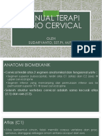 Terapi Manual