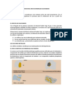 PROCESO ORO MINERALES SULFURADOS (1).docx