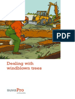 Dealing With Windblown Trees