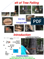 tree_felling_presentation.pdf