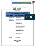 Informe de Mineralurgia Modificar