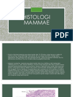 Histologi Mammae