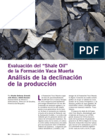 shale vaca muerta.pdf