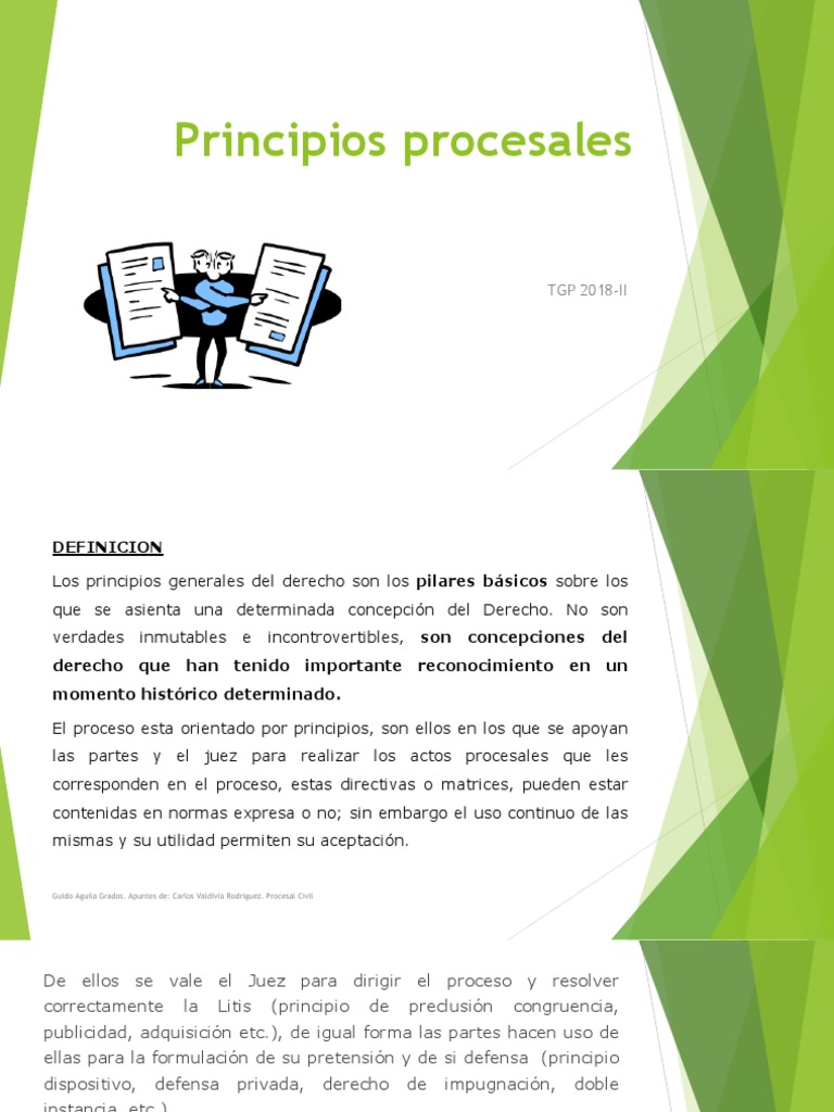 principios PROCESALES | Ley procesal | Debido al proceso | Prueba ...