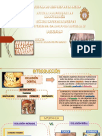 Tema 8 Oclusion Dentaria