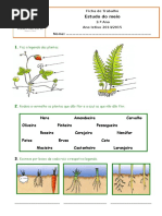 Ficha das Plantas.doc