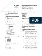 Tes gabungan Pencernaan, Pernafasan , Gerak, Genetika