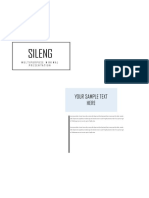 Sileng: Multipurpose Minimal Presentation