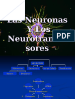 Neuron as y Neuro Transm i Sores