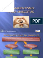 Biomag Mascotas
