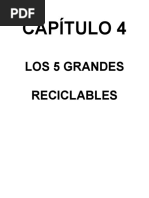 Capítulo 4. Los 5 Grandes Reciclables