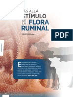 flora-ruminal.pdf
