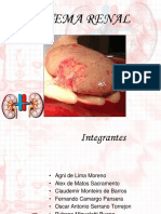 Biofísica Renal