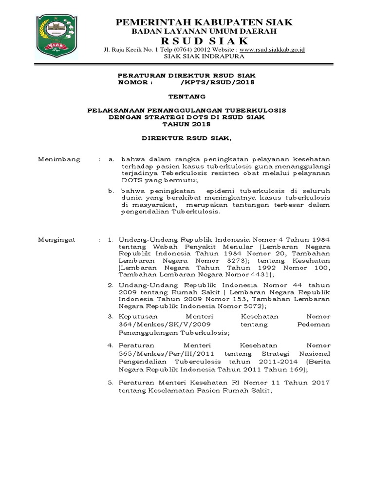 Penanggulangan Tuberkulosis di RSUD Siak | PDF