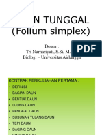 Daun Tunggal