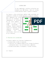 Tarea de Anatomia #4 Sistema Oseo