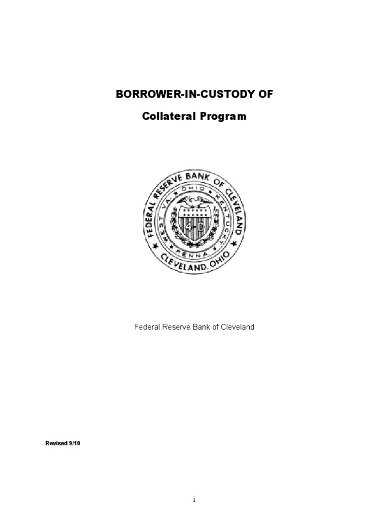 BIC Program Guidelines for DIs | PDF | Loans | Credit