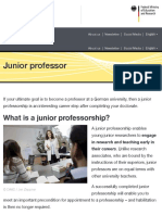 Junior Professor: What Is A Junior Professorship?