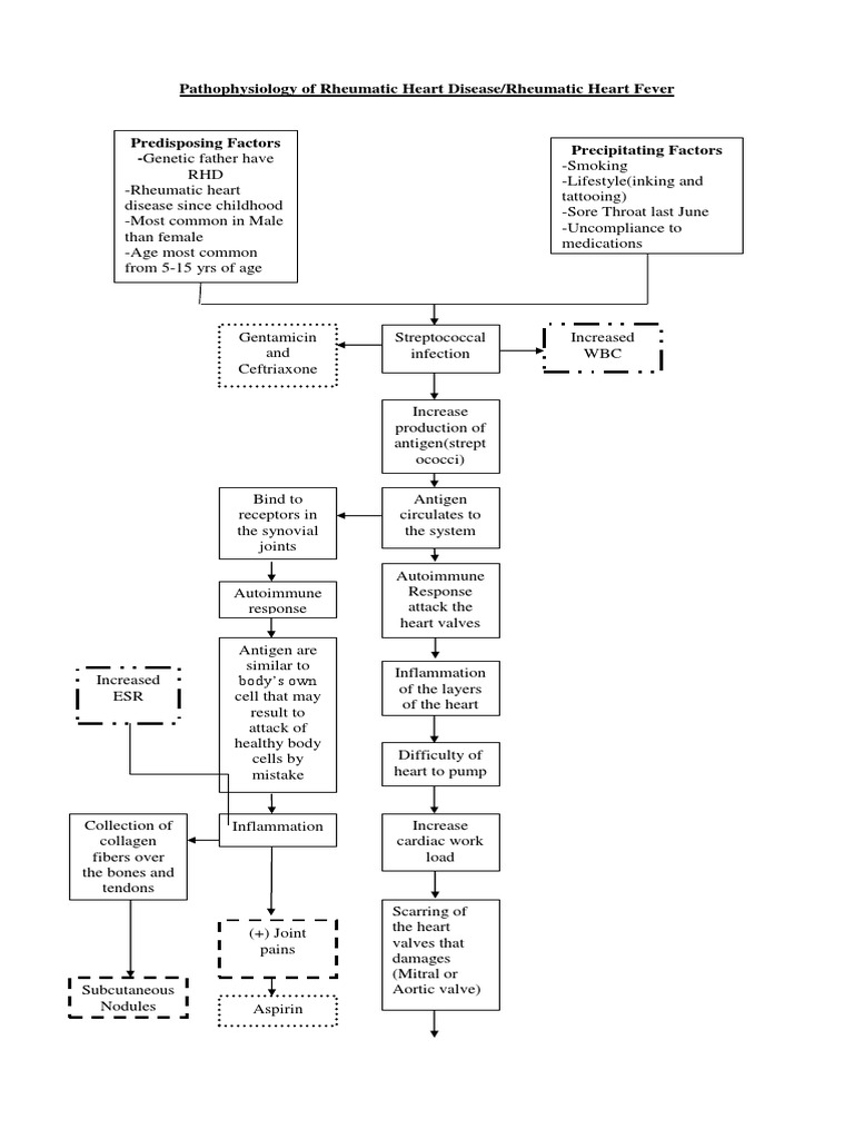 137320354-Pathophysiology-of-Rheumatic-Heart-Disease.docx | Heart