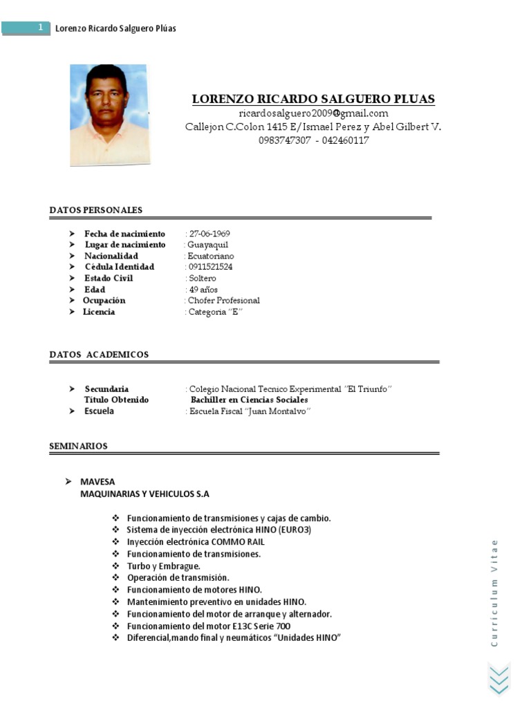 Formato de curriculum vitae picture