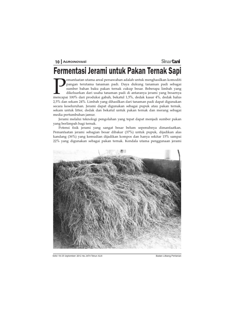 Fermentasi Jerami Untuk Pa Pdf