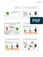 fluxos_energia_ciclos_materia1.pdf