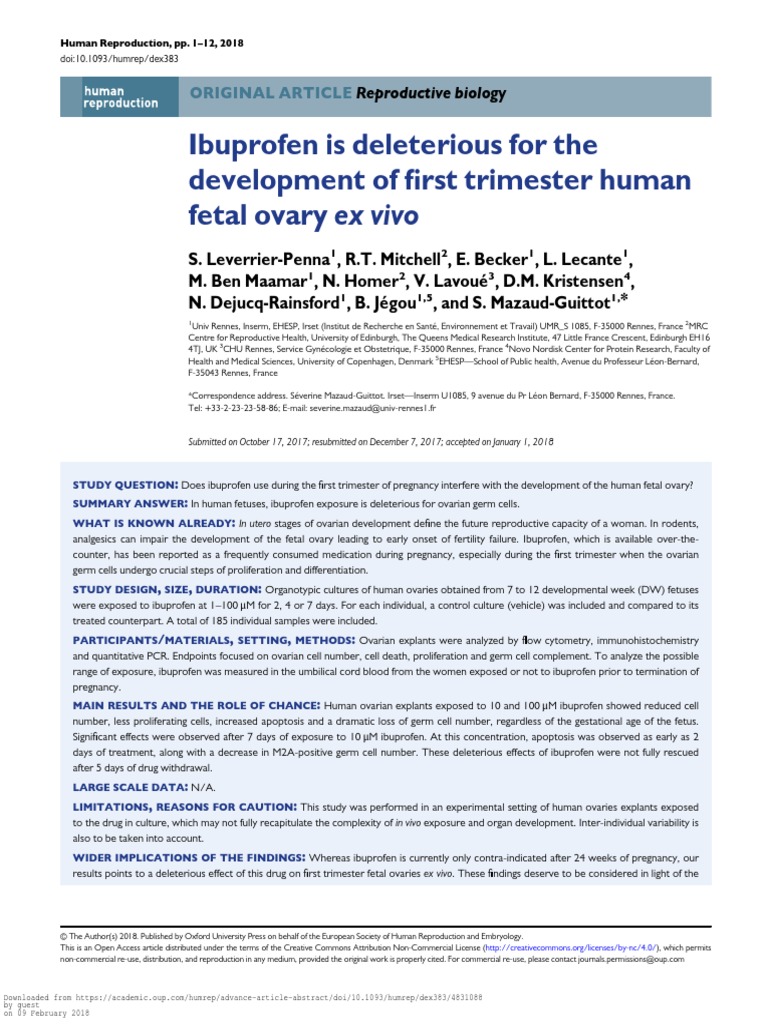 Ibuprofen Is Deleterious For The Development of First Trimester Human