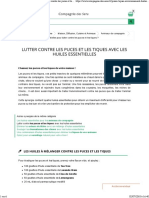 Comment Utiliser Les Huiles Essentielles Pour Lutter Contre Les Puces Et Les Tiques ?