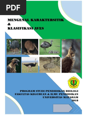 4400 Koleksi Hantu Elang Dan Alap-alap Dimasukkan Dalam Satu Ordo Yang Sama Yaitu Ordo Gratis